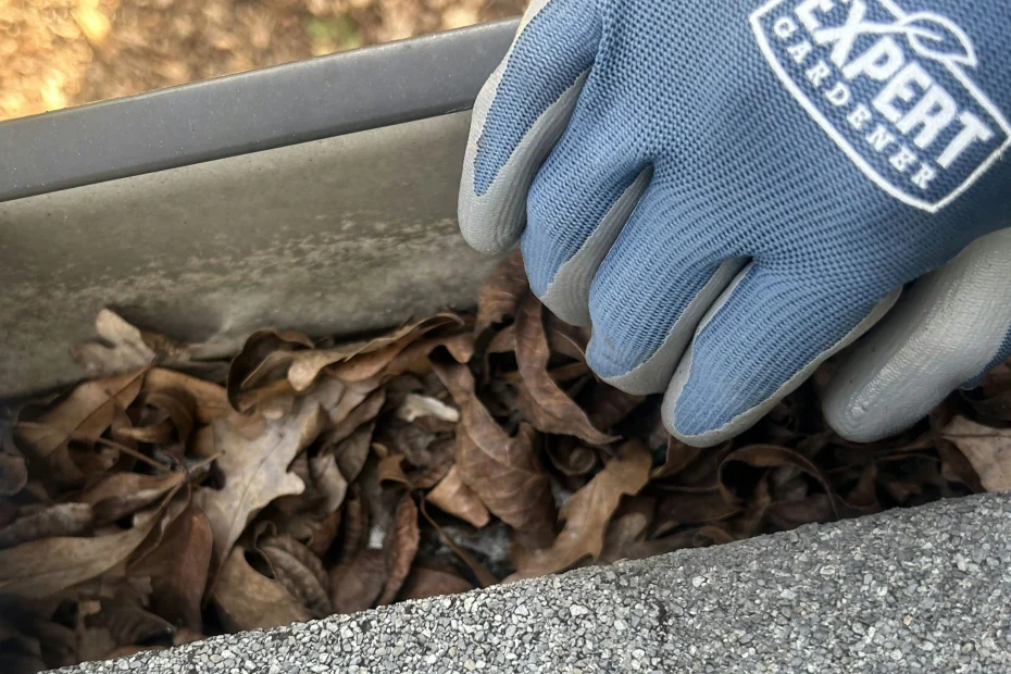 Gutter Cleaning Colonial Heights