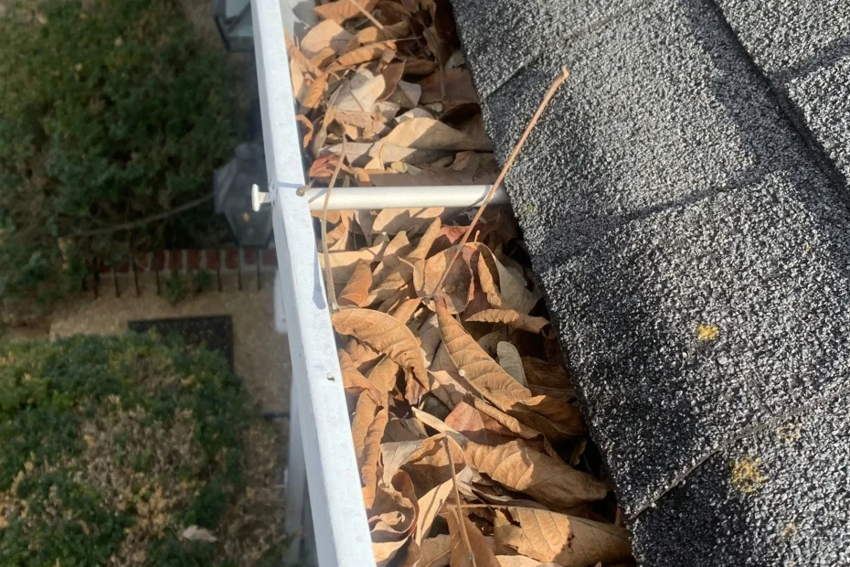 Gutter Cleaning Colonial Heights