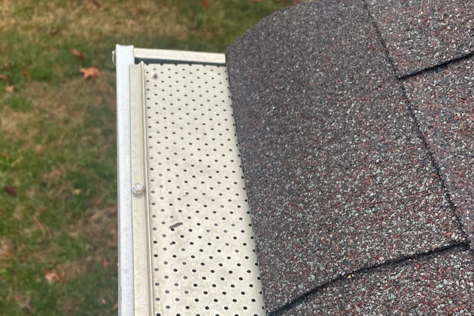 Gutter Cleaning Colonial Heights