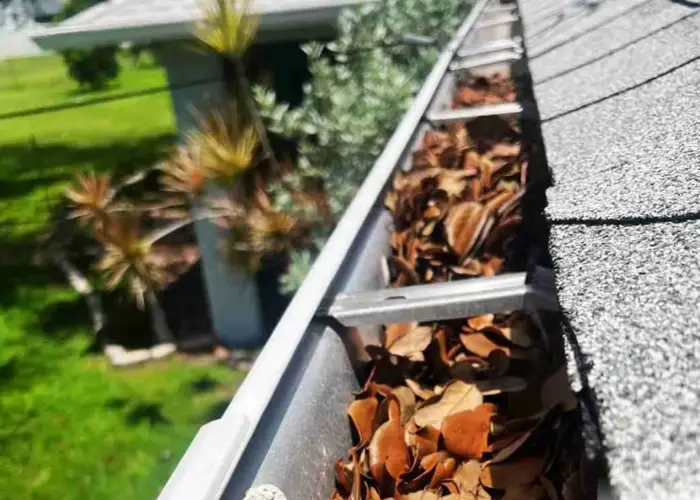 Gutter Cleaning Colonial Heights home page